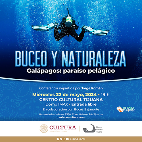 Buceo y Naturaleza: Galápagos: paraíso pelágico